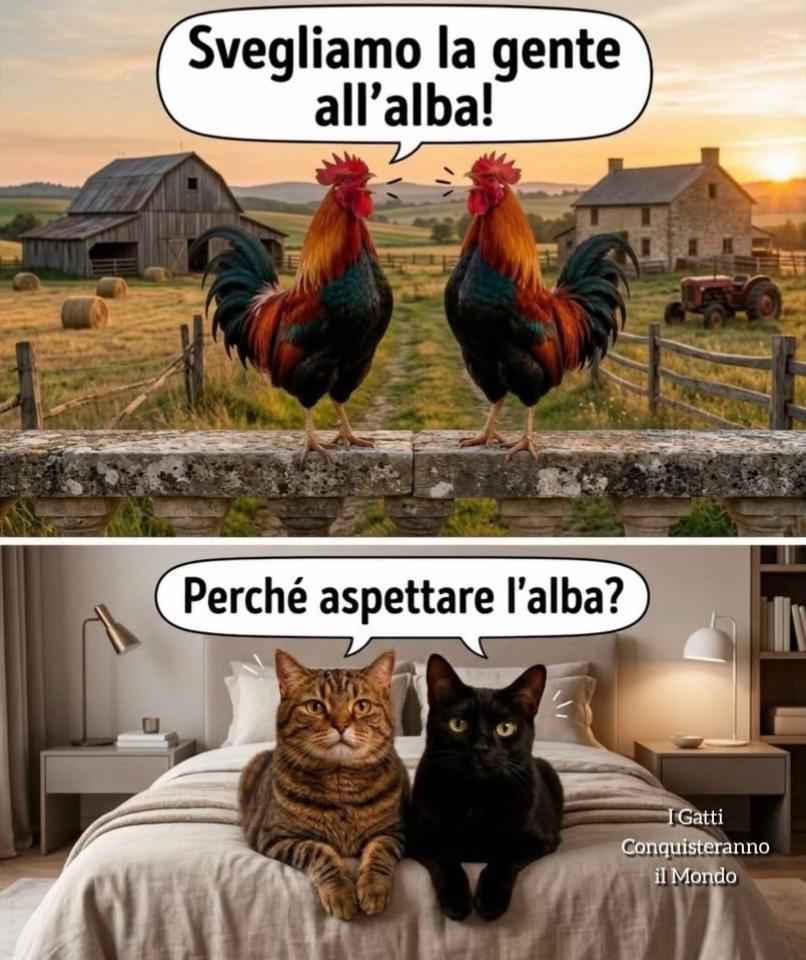 @Cristina
