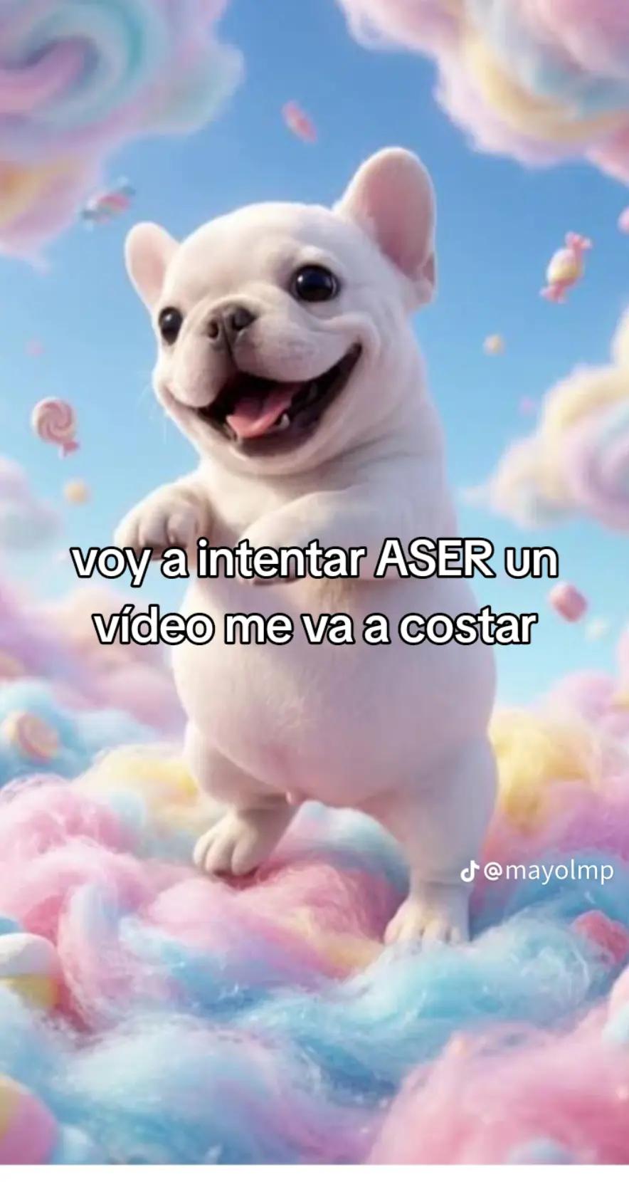@pibleYT