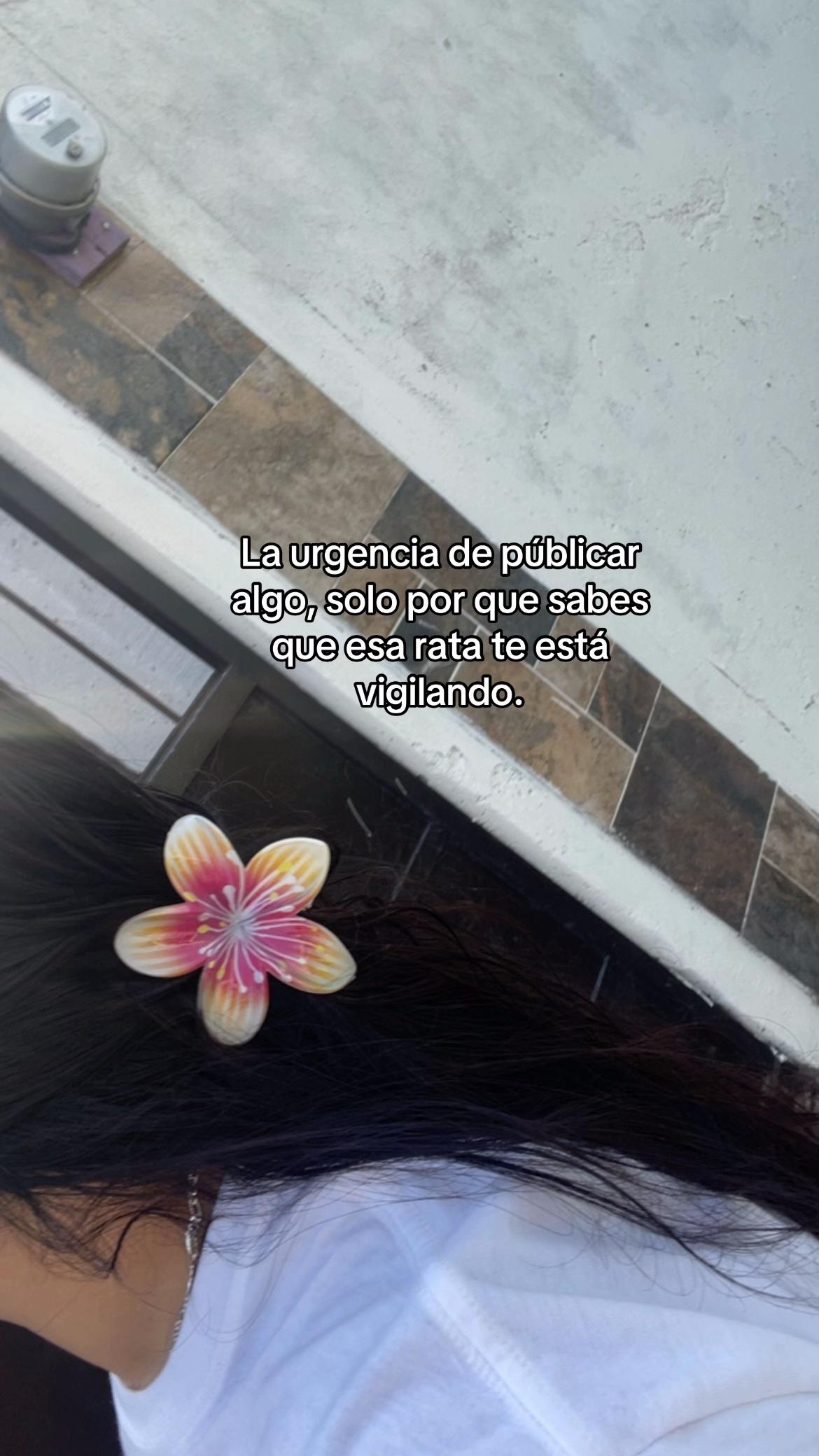 @Babee dan.🙂&zwj;&harr;️