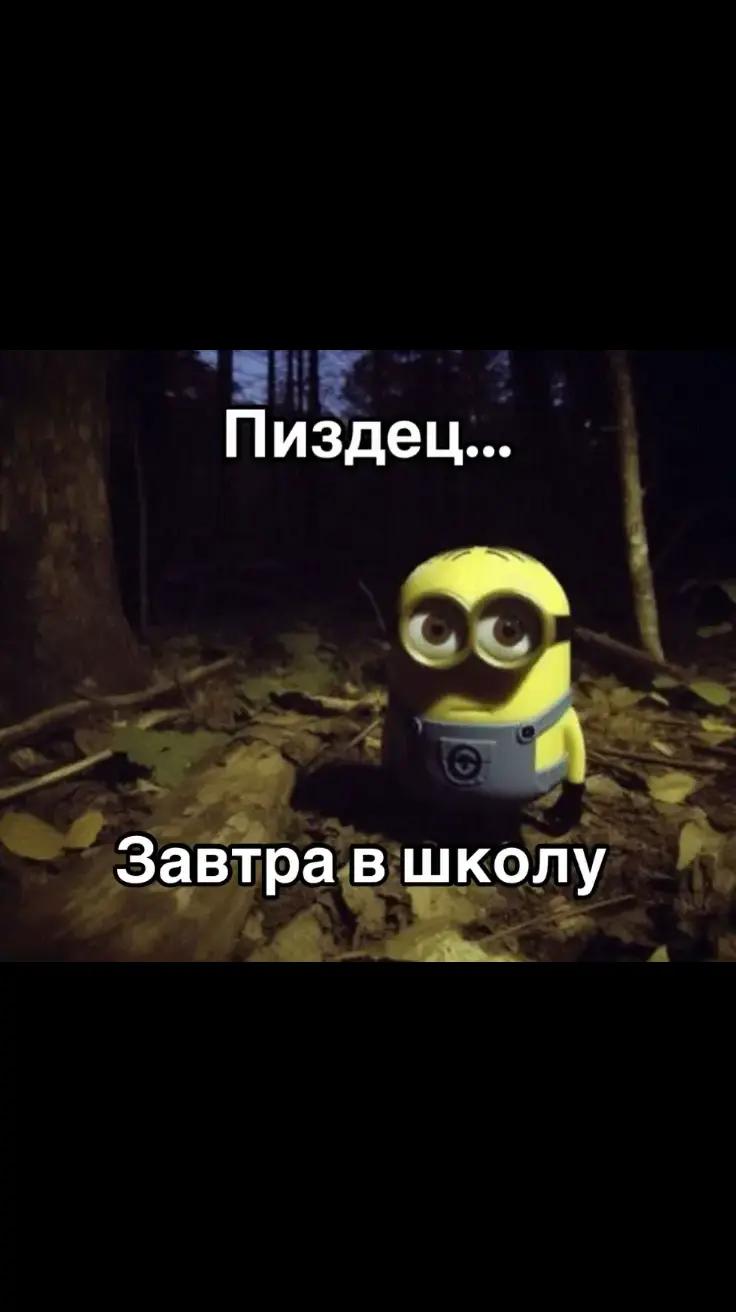 @alex