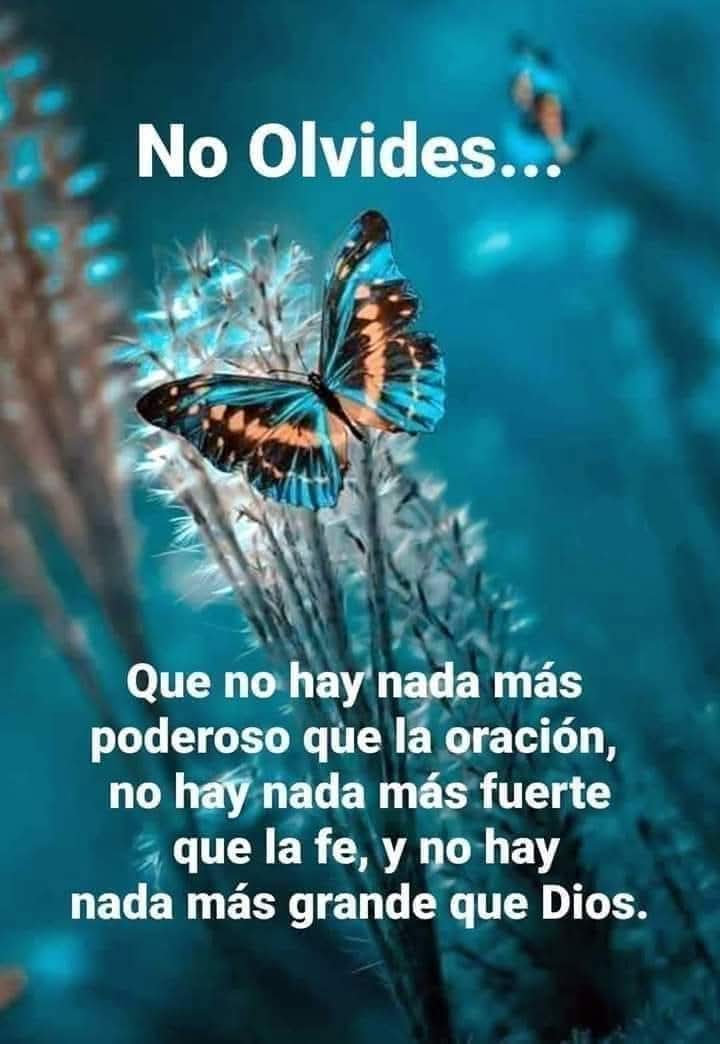 @Patricia Garcia
