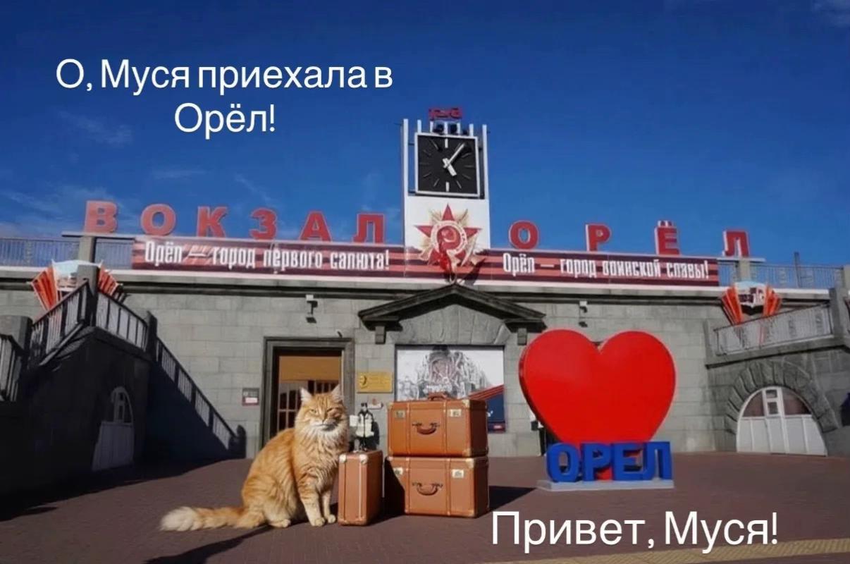 @upsuun