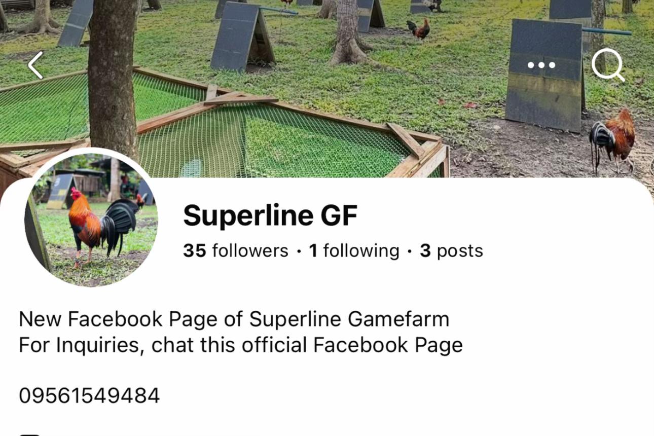 @Superline Gamefarm