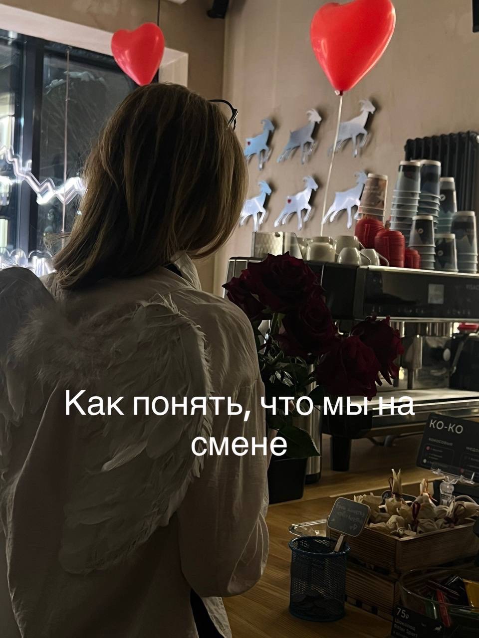 @baristasalova