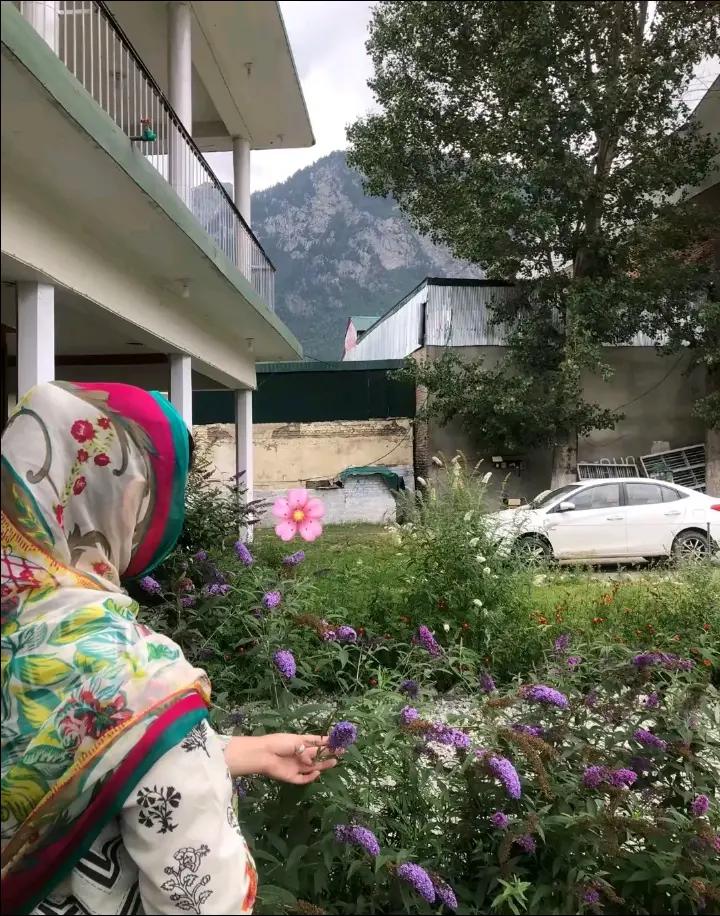 @KASHUU BUDHANI