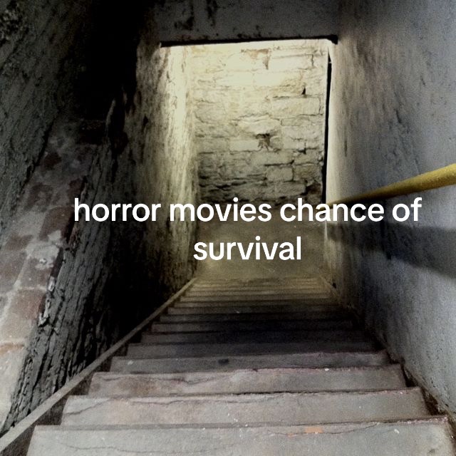 @daltonheus