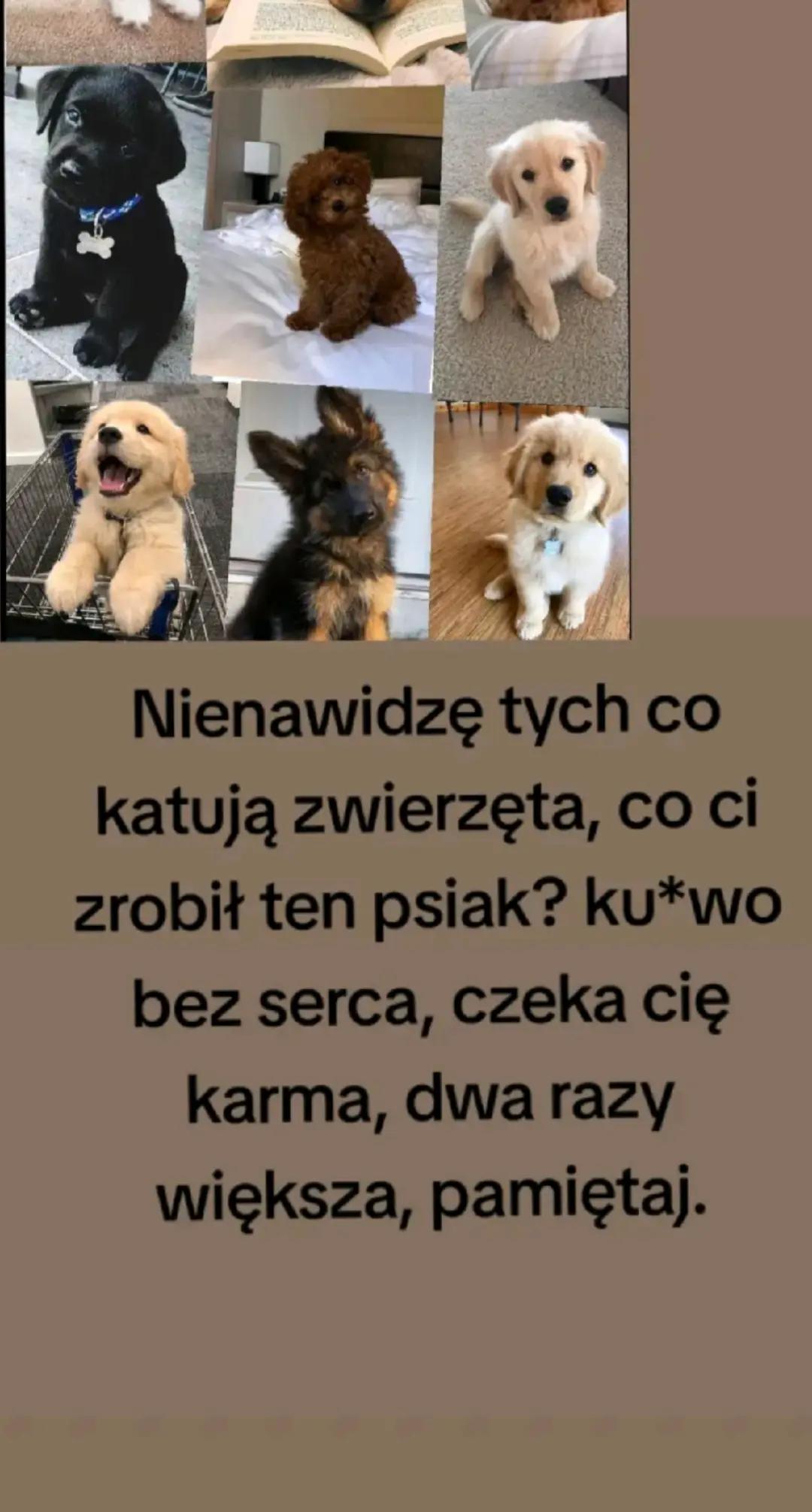 @Ruda12