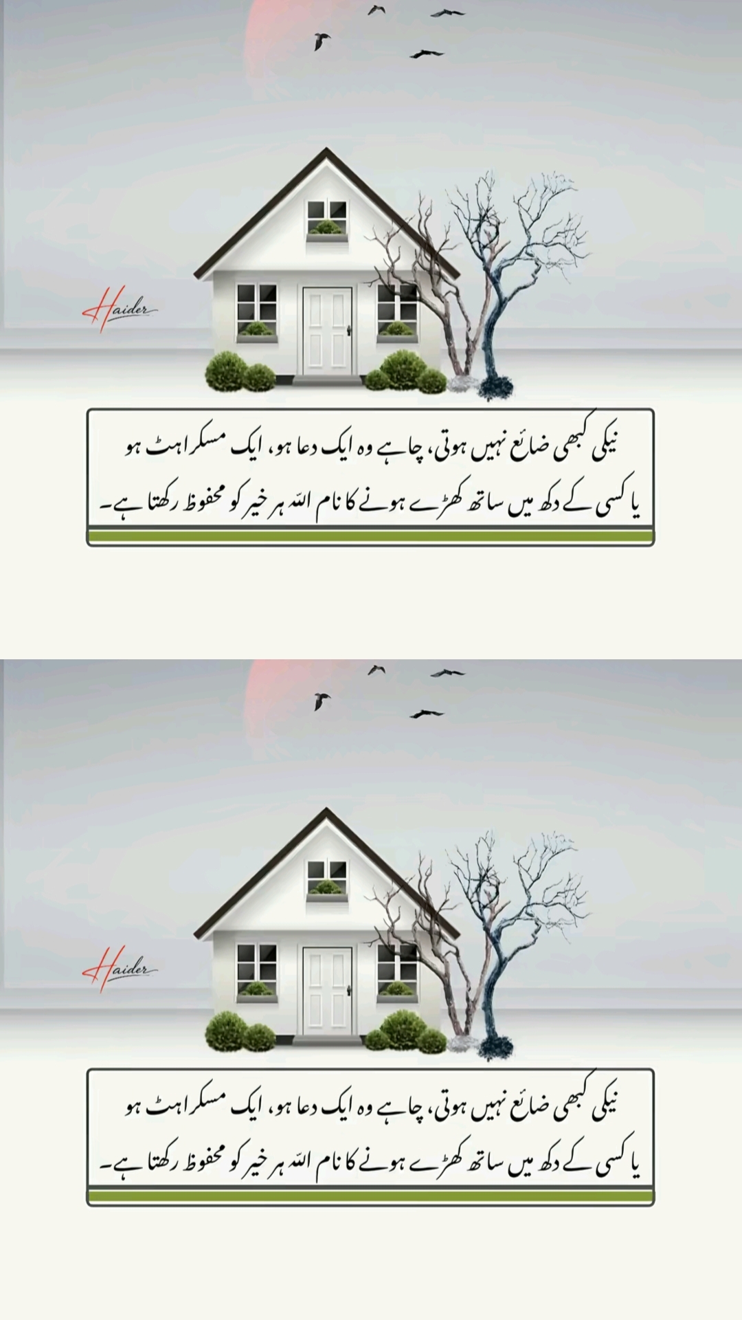 @👑Waqas Biland 👑