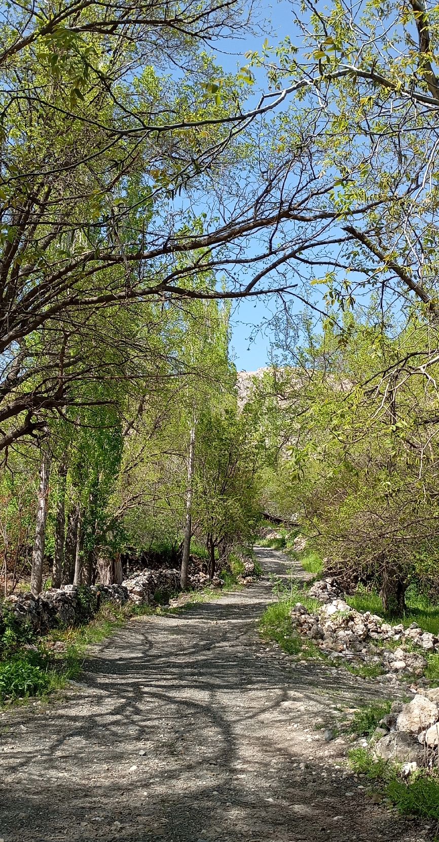 @aşçı hanım