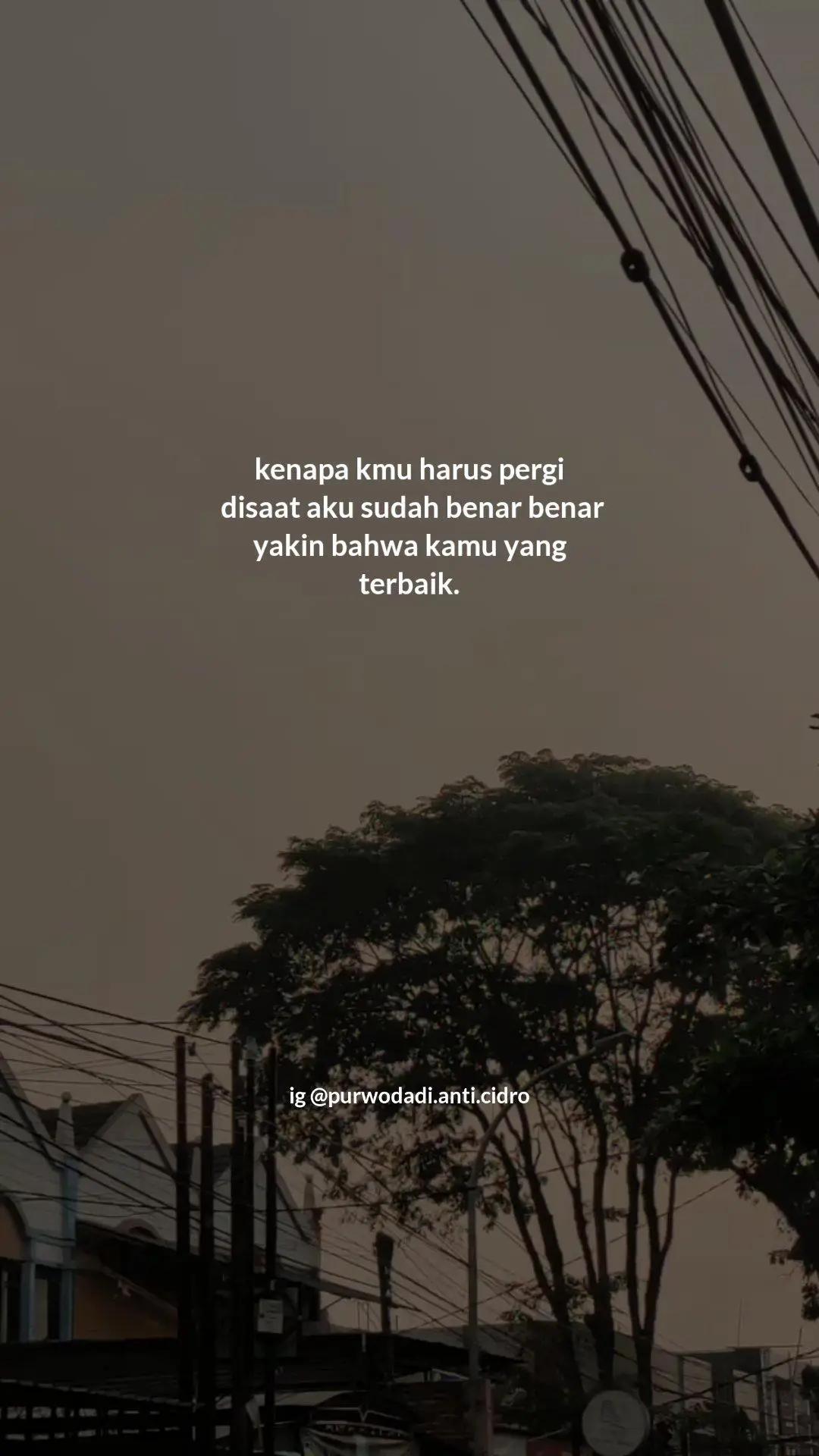 @Purwodadi Anti Cidro
