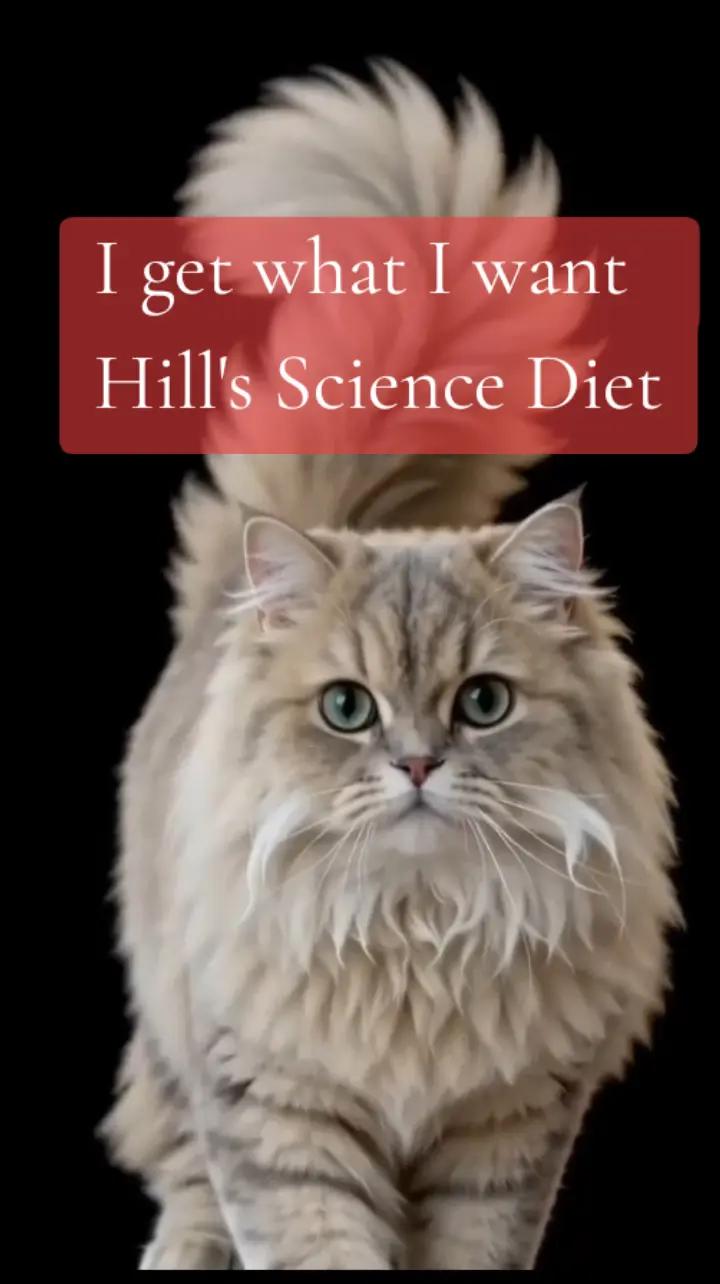 @stormcat66