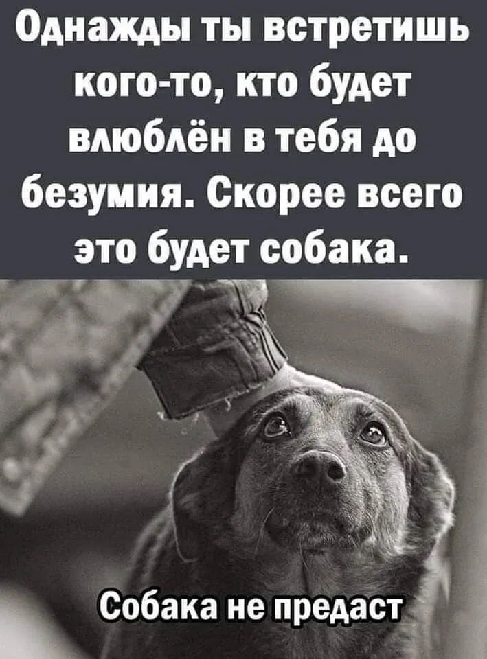 @Ludmila B