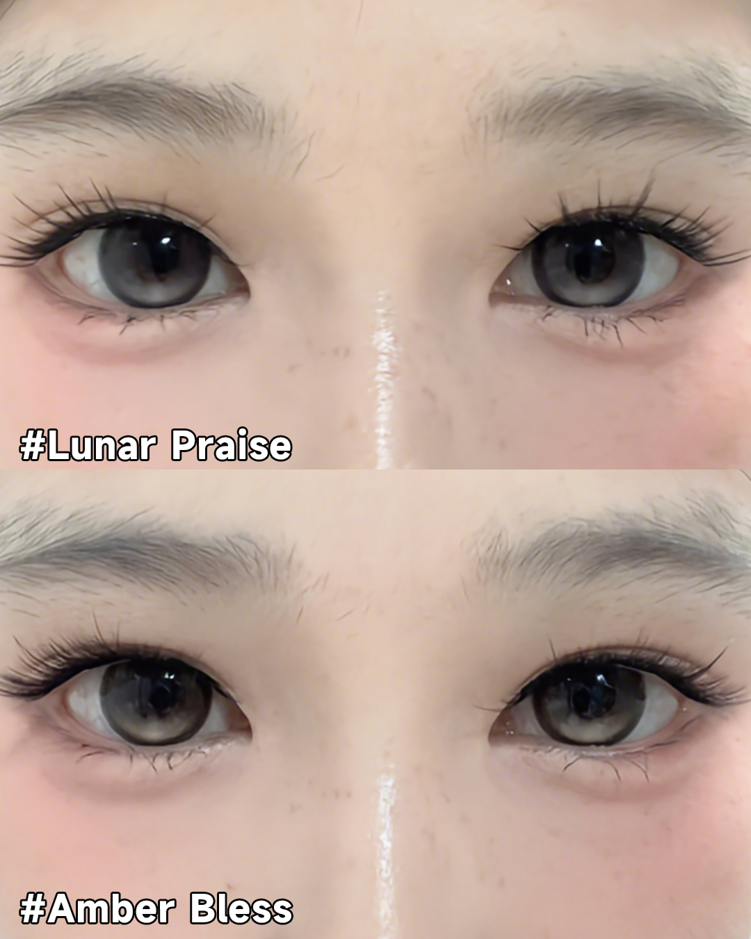 @sigocontacts_official