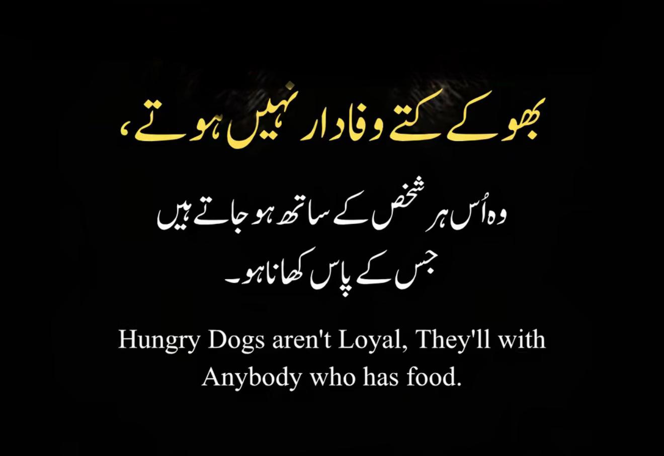 @KoochiJi