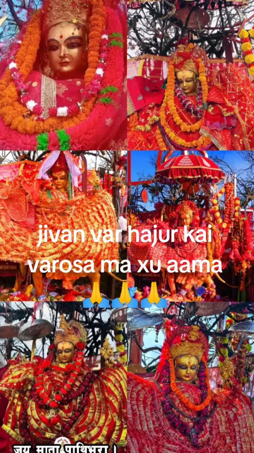 @nirmalabaral680