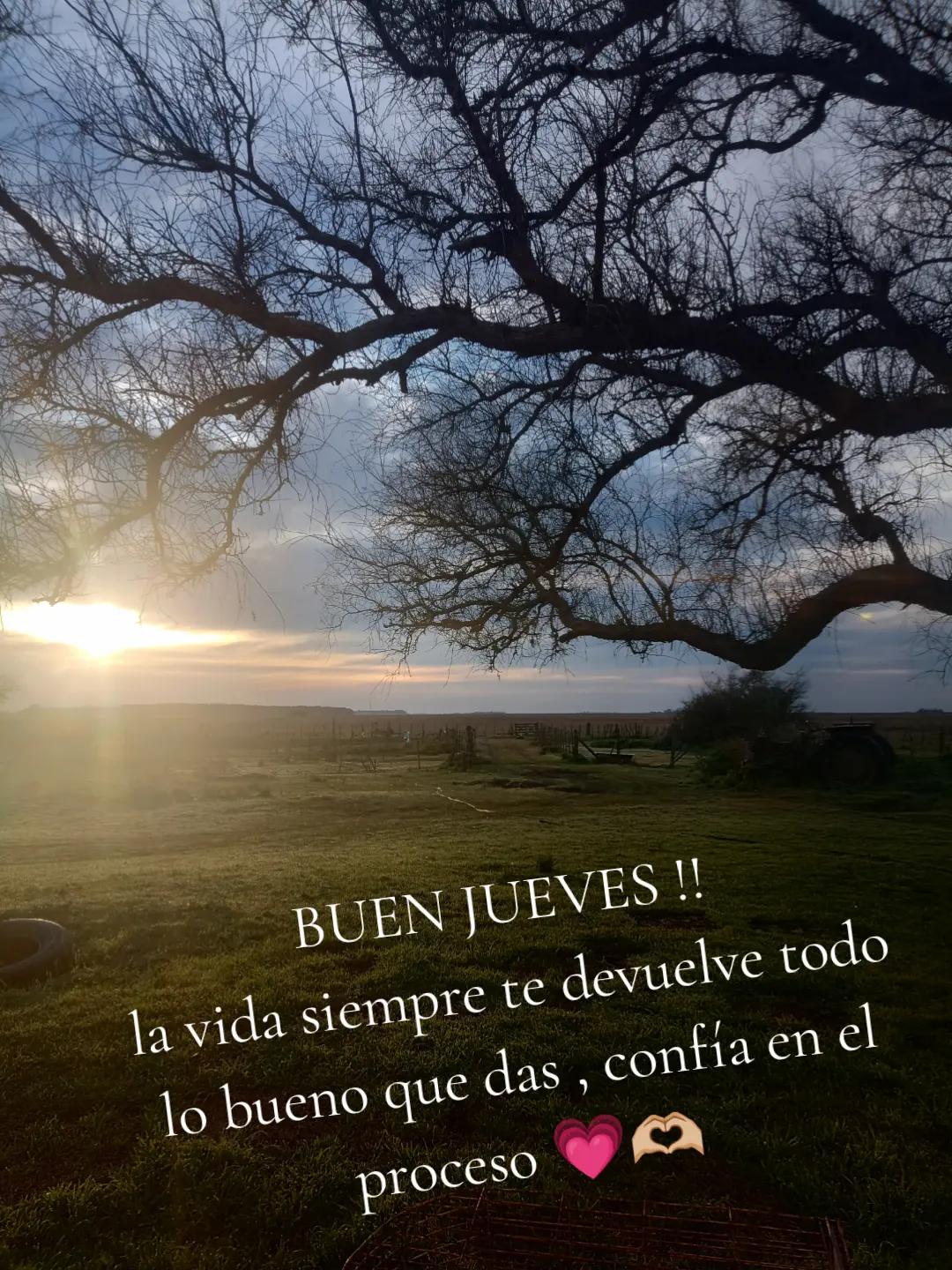 @@soleerivero