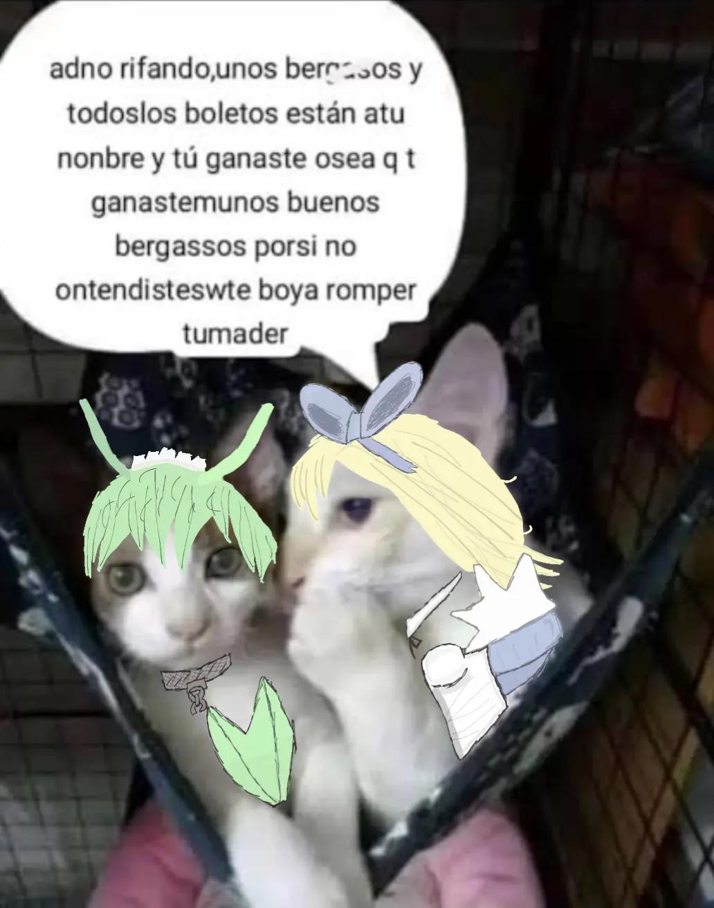 @PateaViejitas3000
