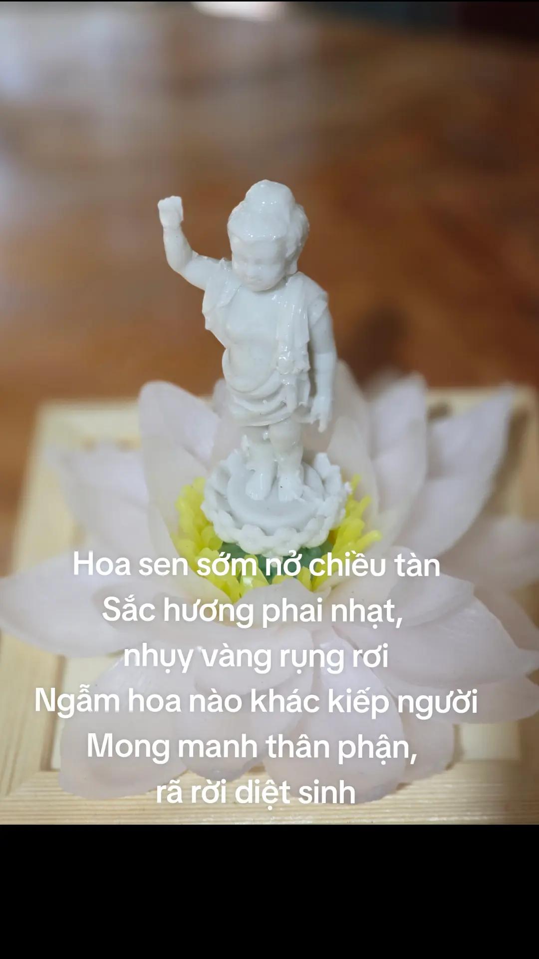 @TK Bảo Ân