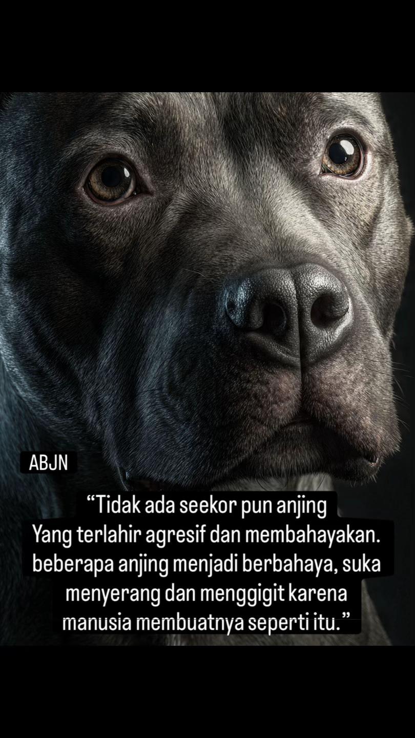 @indonesian_dog_lover