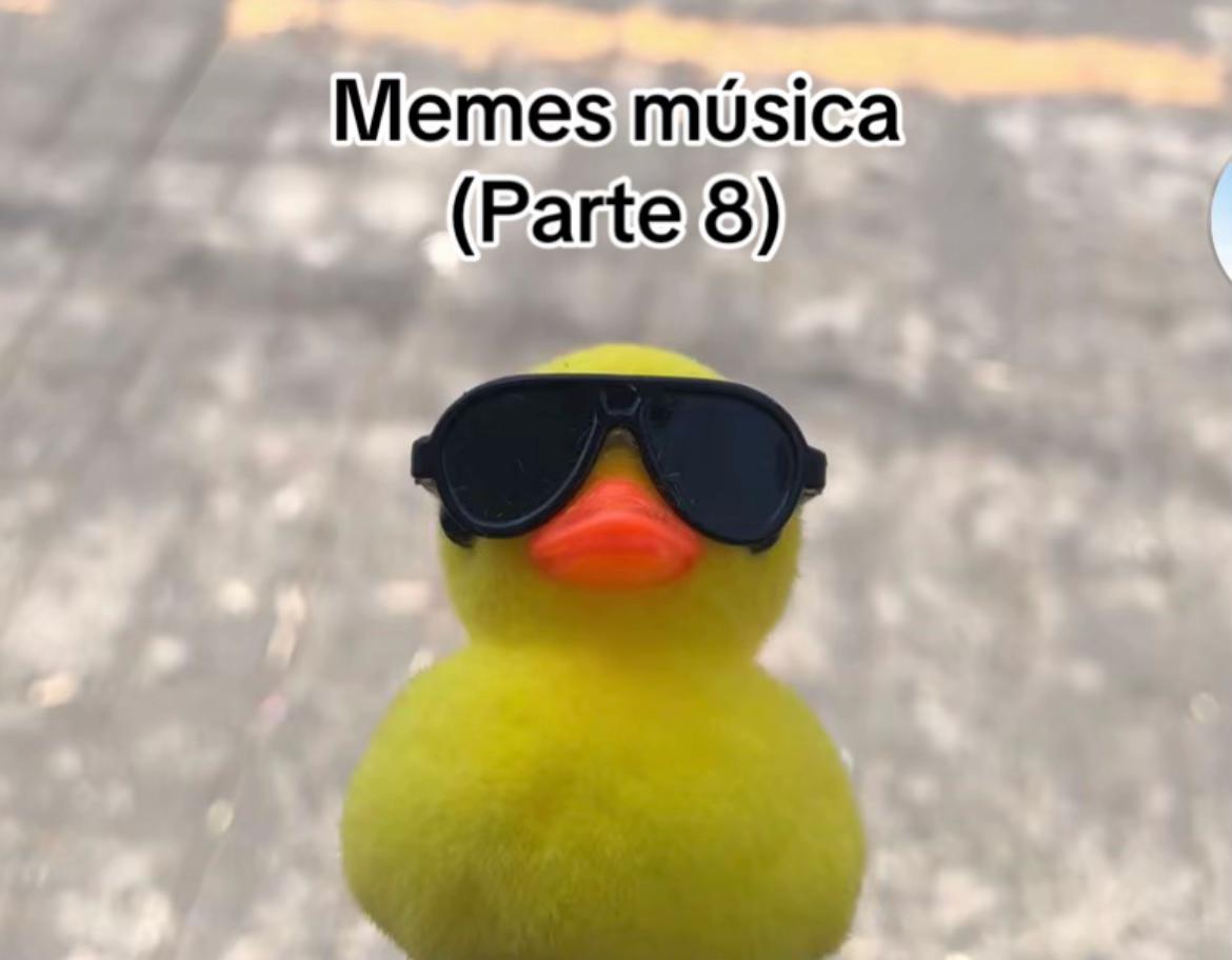 @Maestro_Tuba1