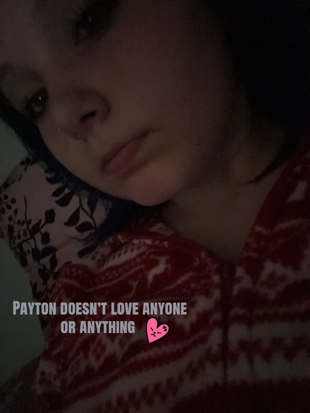 @Pusheen cat 🌬️