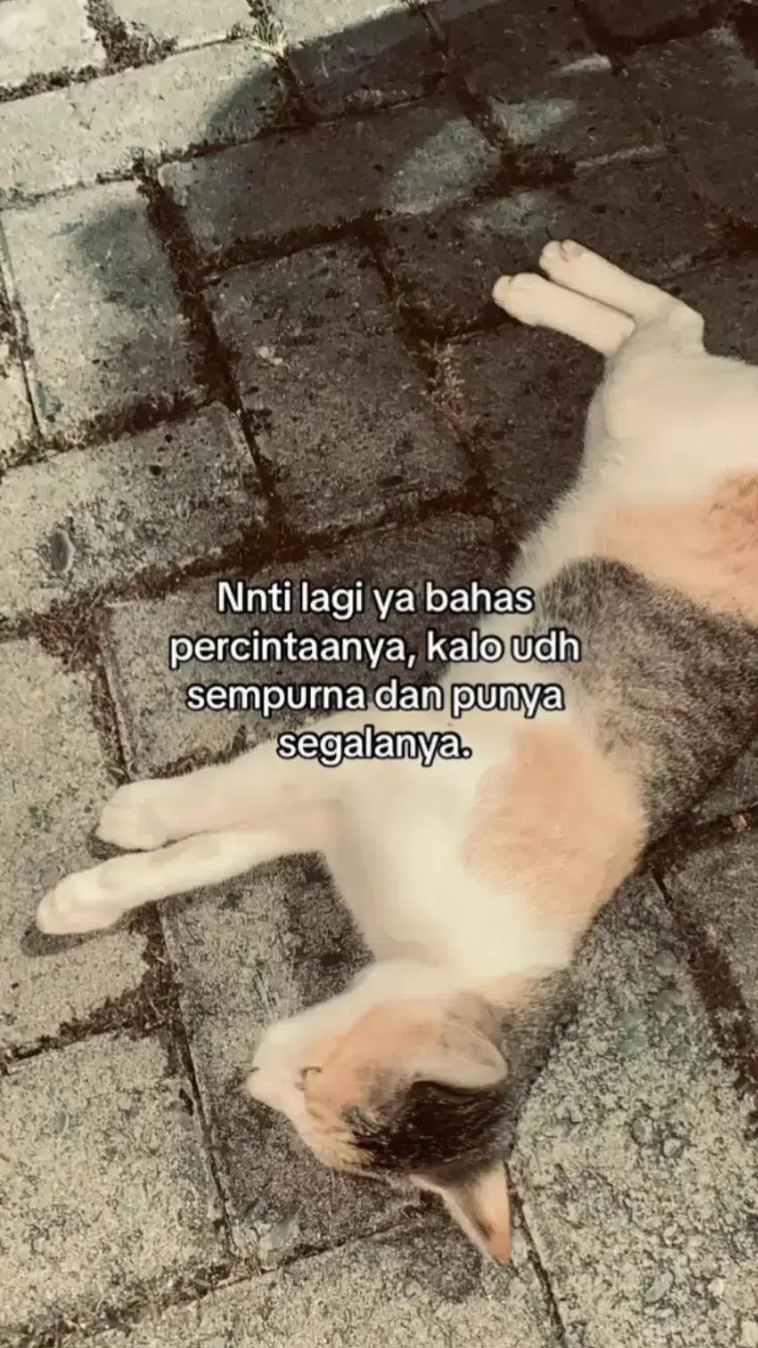 @refan djafar