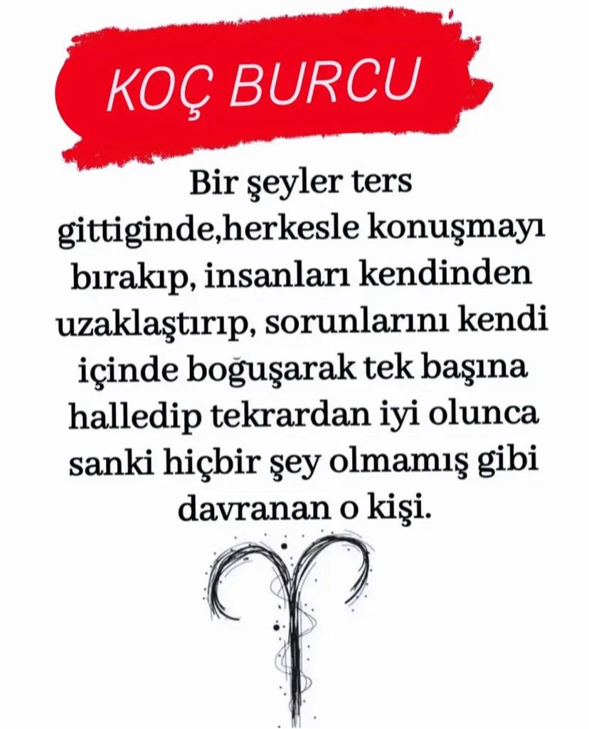 @kocburcu6