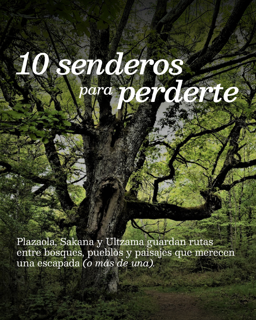 @Visit Navarra