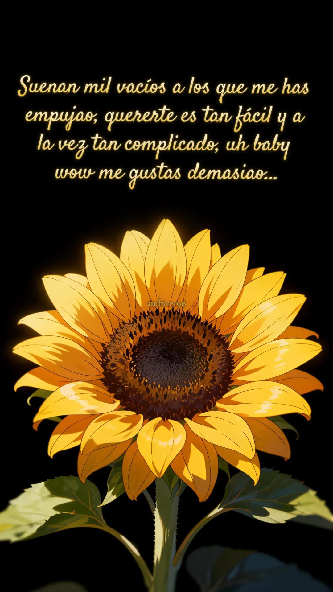 @ambicer98