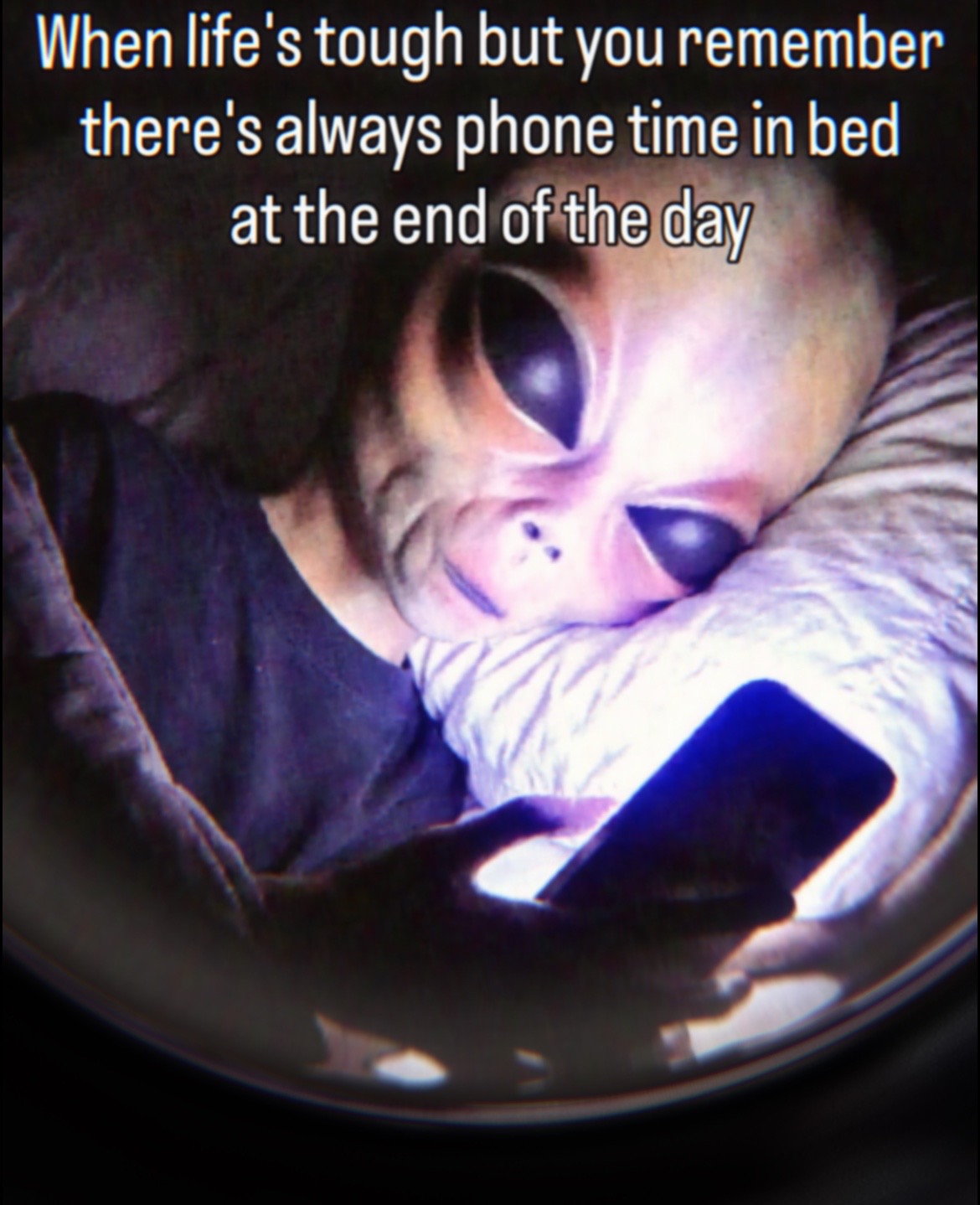 @vibezonly900