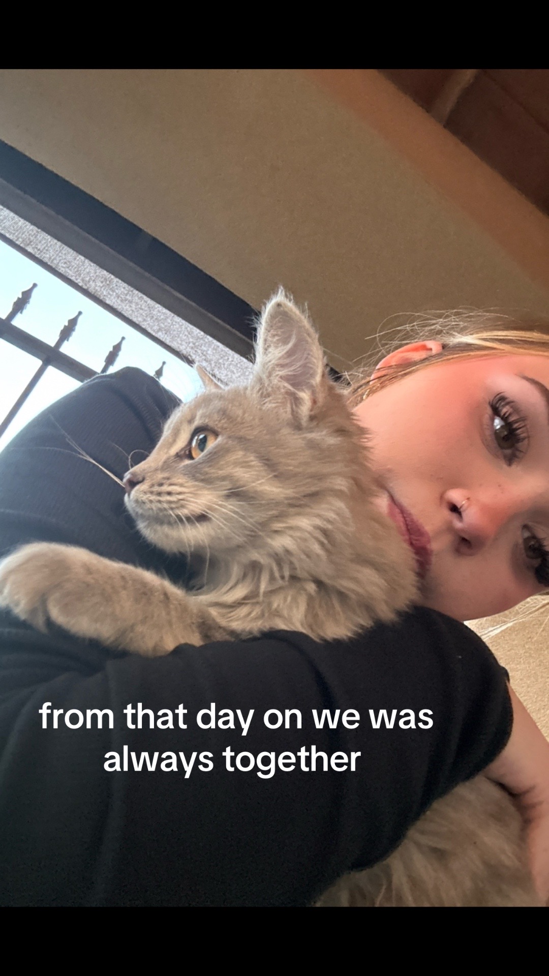 @macmillerglazer67