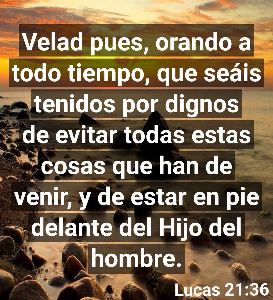 @Pablo5050917