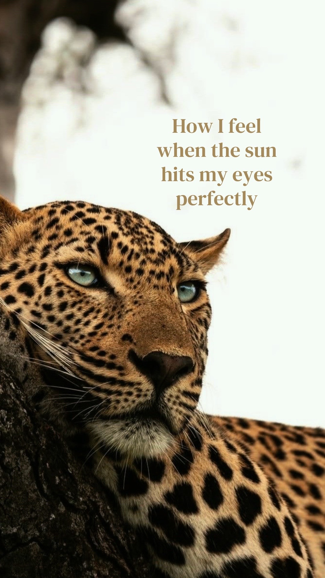 @✨𝐹𝒶𝒾𝓉𝒽 𝑀𝒶𝓇𝒾𝑒✨