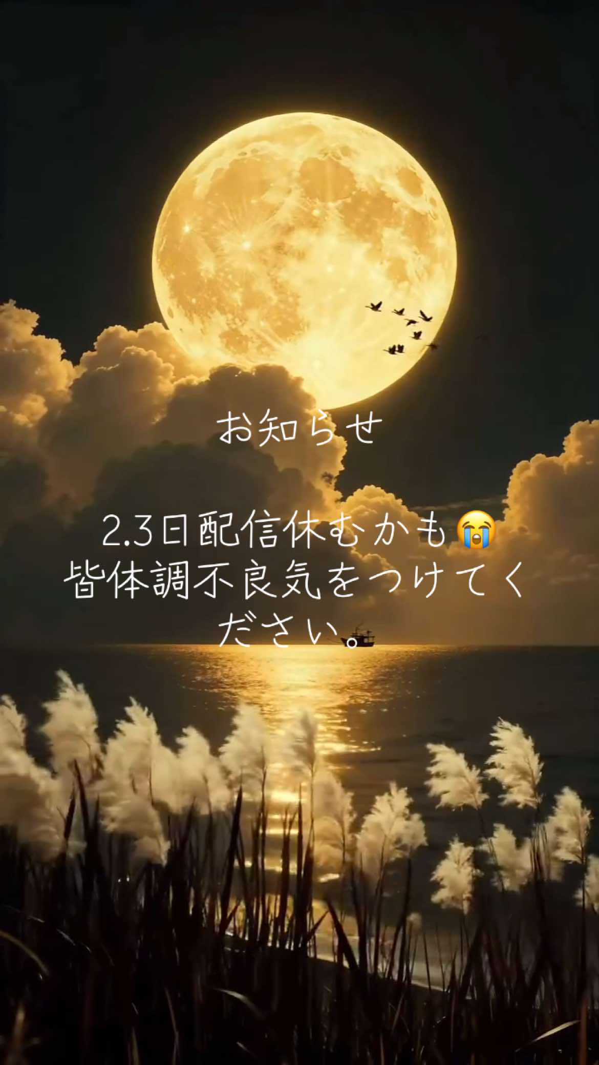 @ððæå€