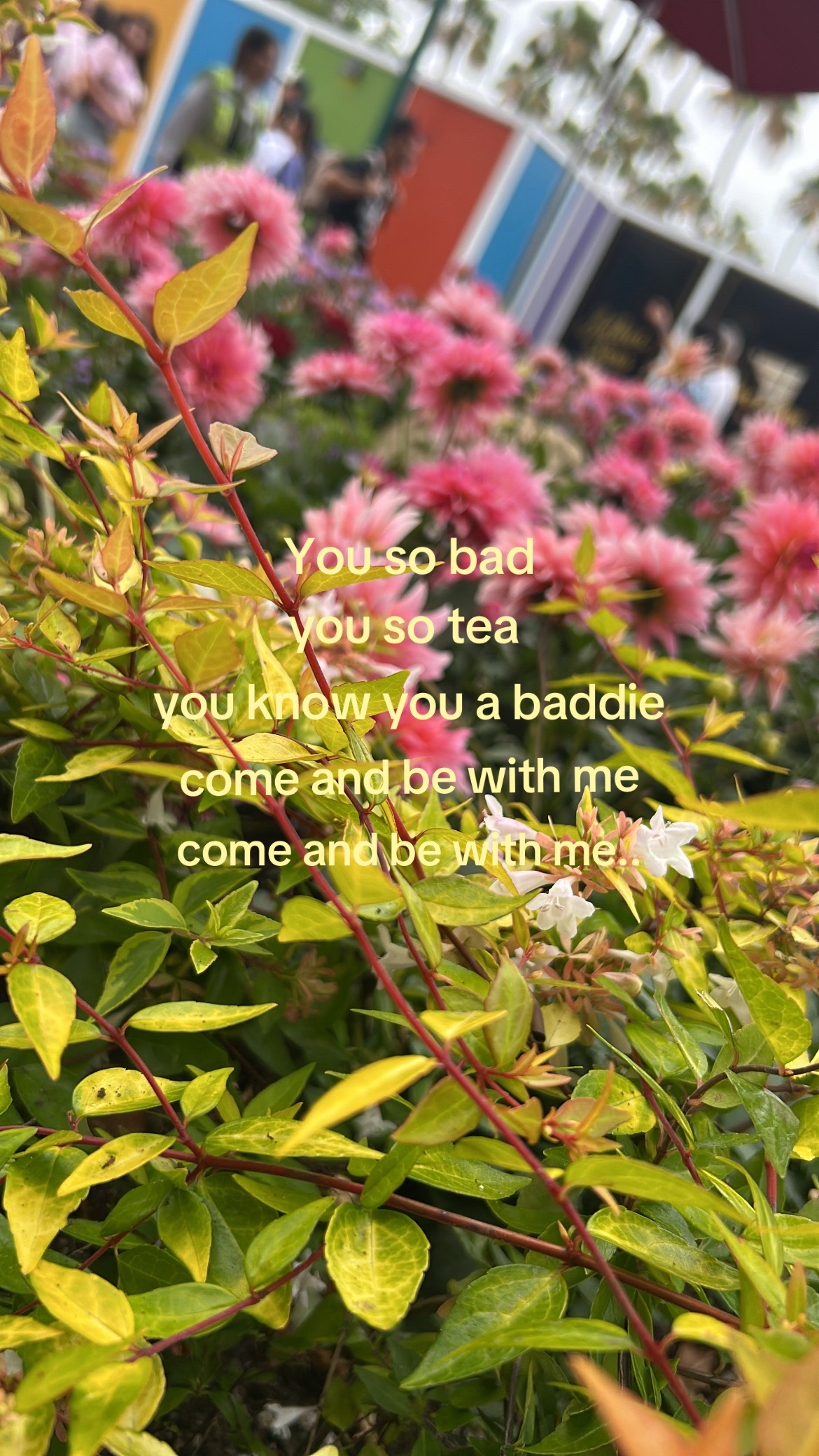 @Zttx