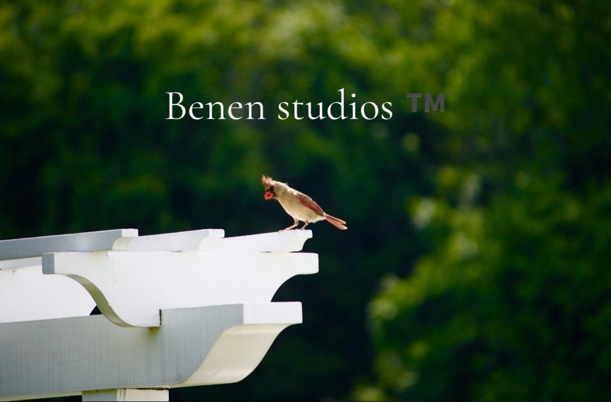 @onlybenen