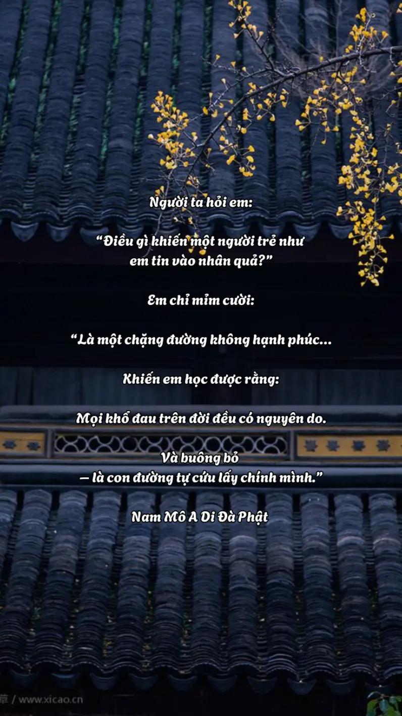 @hạt giống tâm hồn🌱