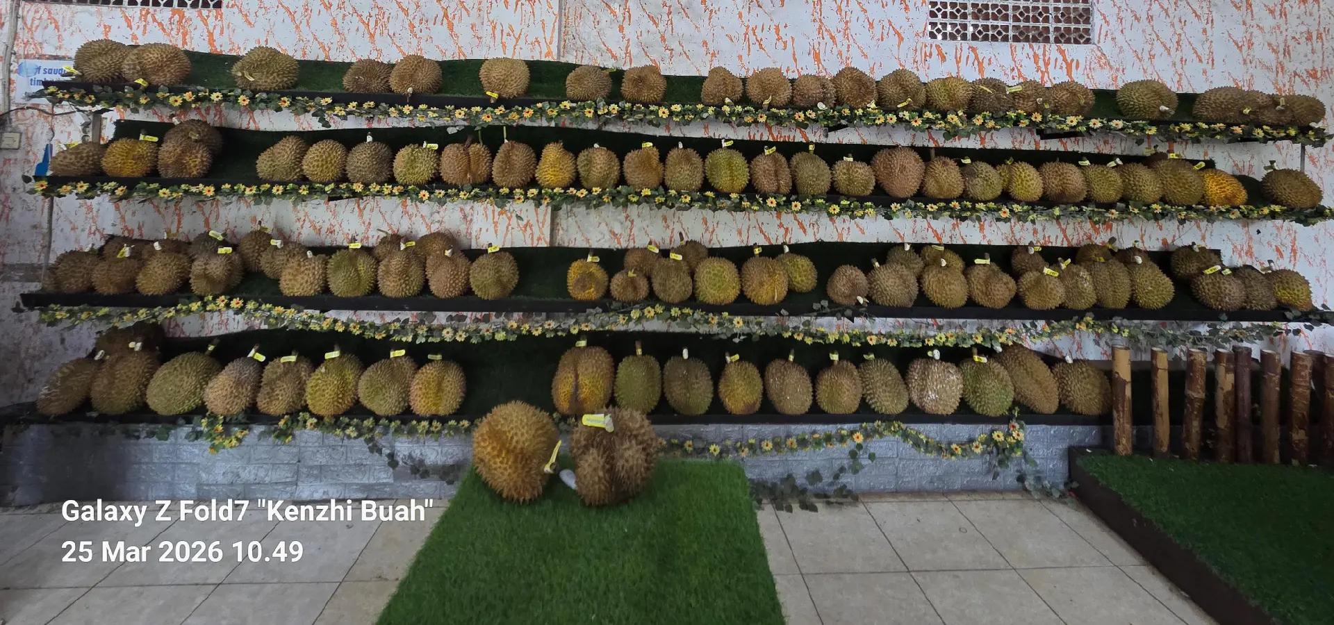 @Kenzhi Durian Tuban