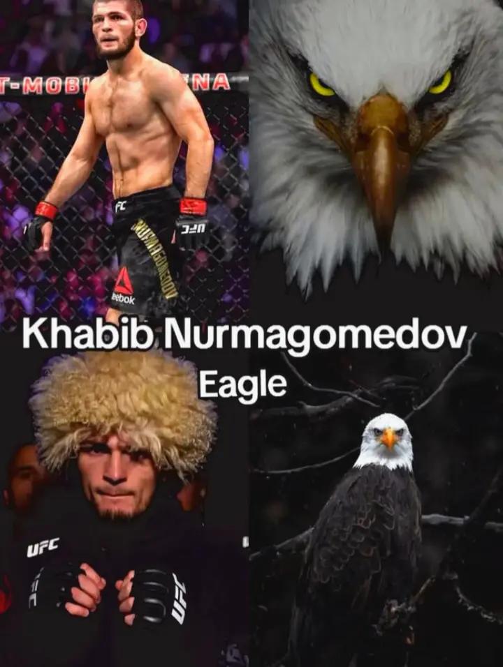 @๛ İbrahim ๛