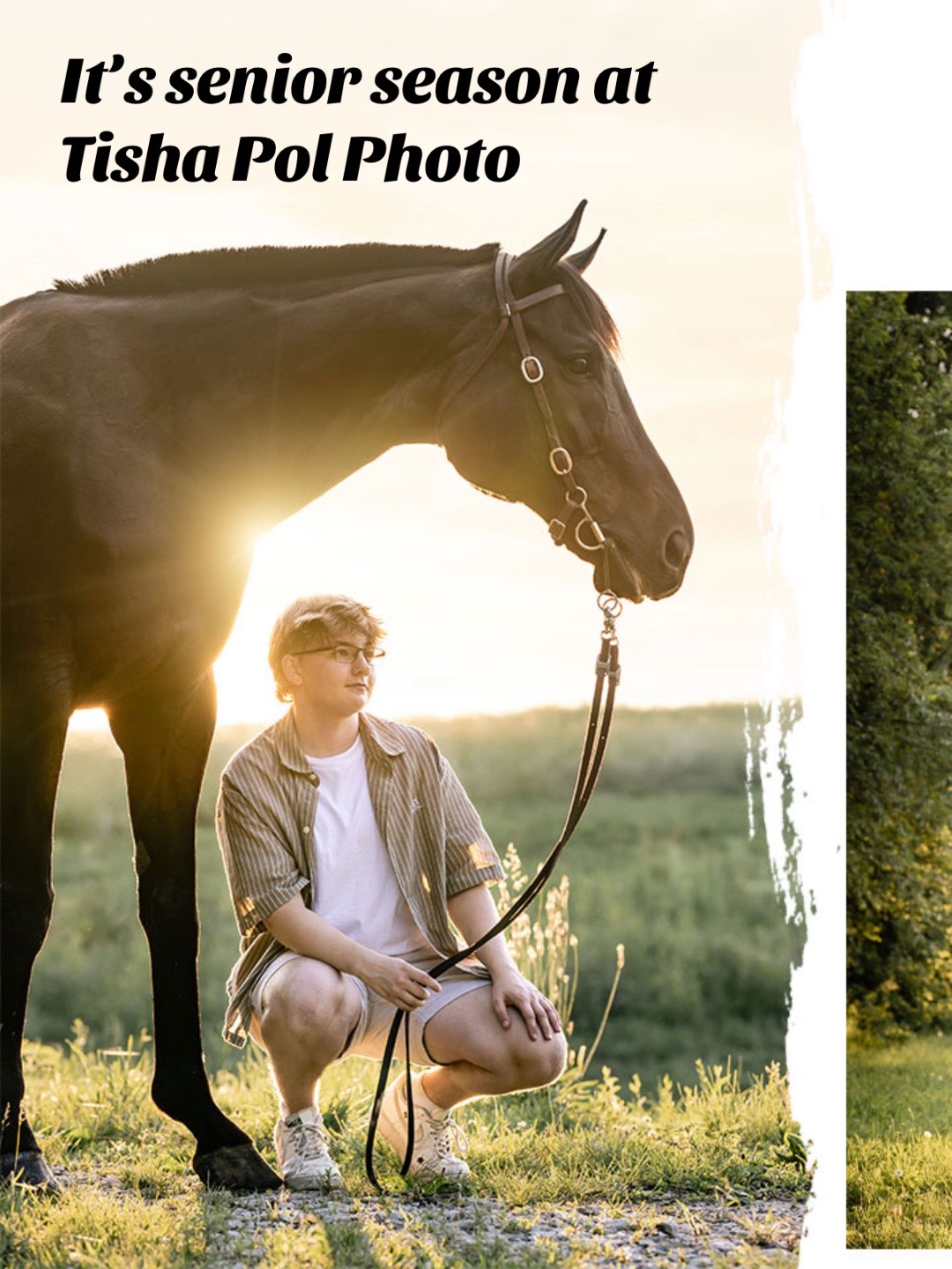 @Tisha 📸🦄 Equestrian Photog
