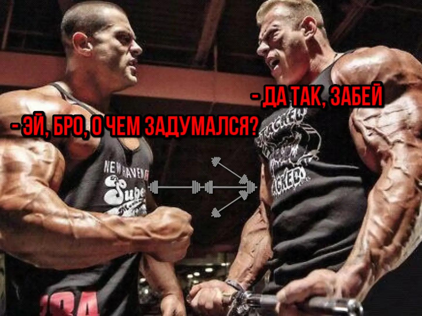 @RealGor GymMedia