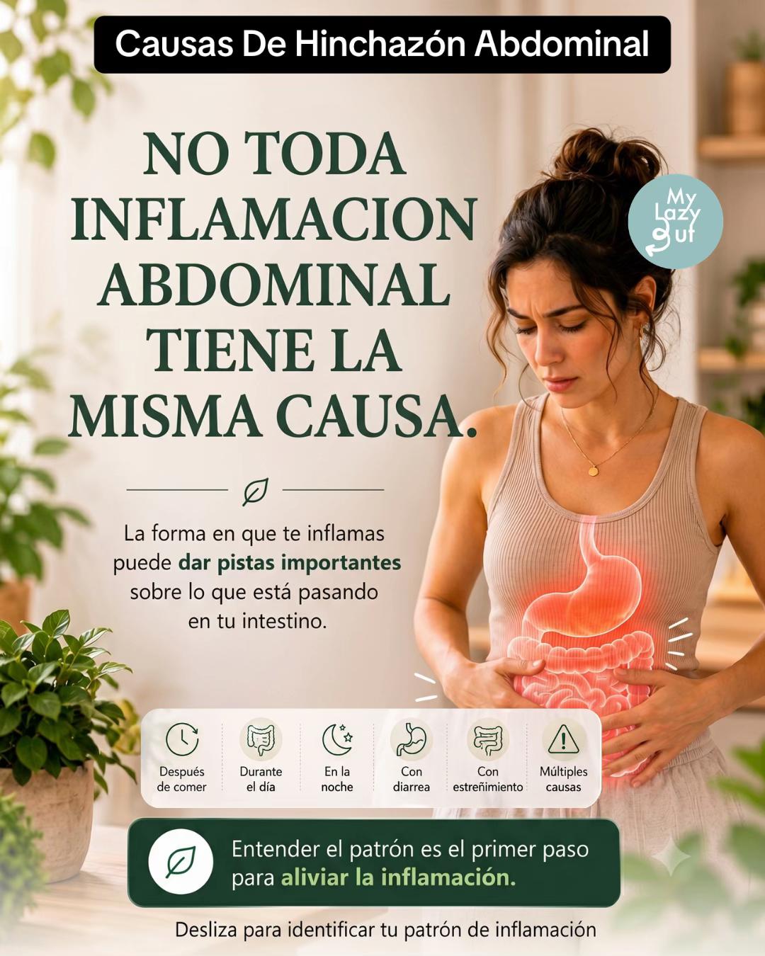 @Mylazygut/Salud Digestión
