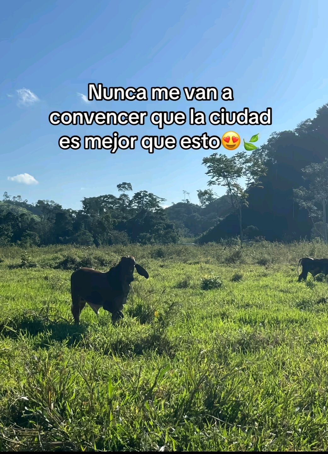 @Drako Xoxa Kruz
