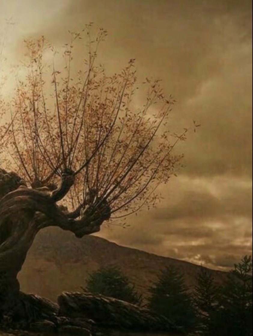 @𝒦𝒾𝓃𝓈𝒾𝒾  ⚯ ͛ ❾&frac34; ⚡︎ 𓅓
