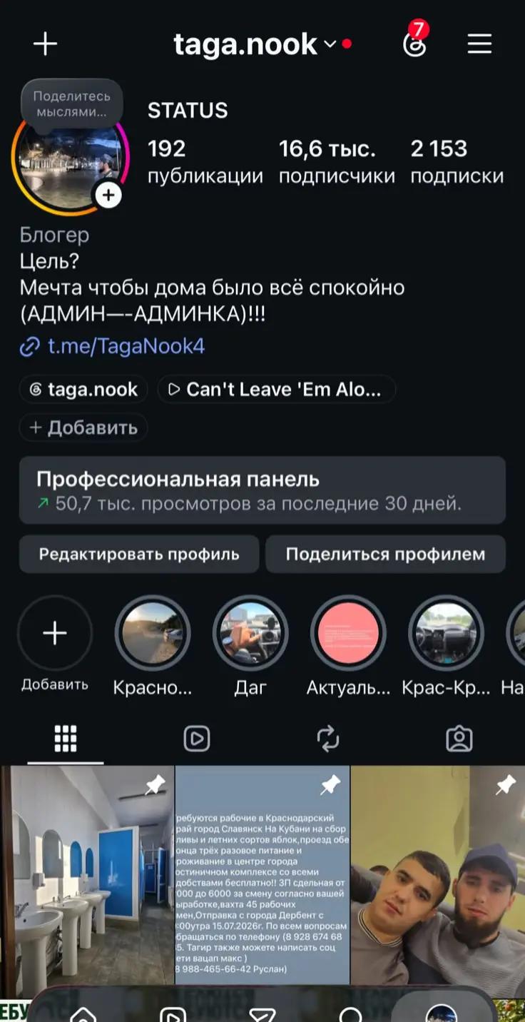 @SEGALLBI