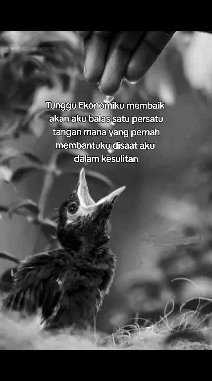@โ๏ธ๐๐๐๐๐๐_๐๐๐๐๐๐โ๏ธ