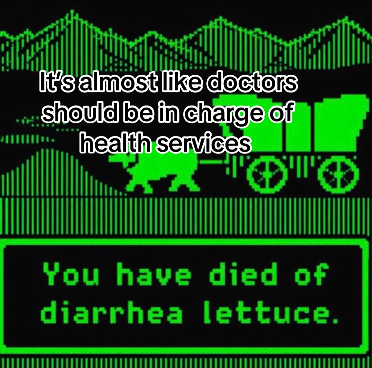@Resistance Homesteaders
