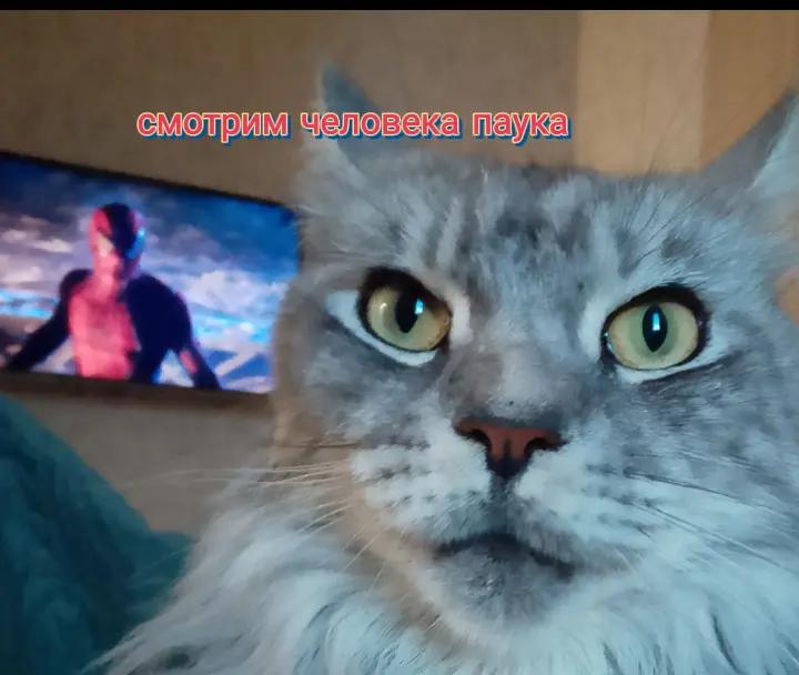 @Садовник 🍎