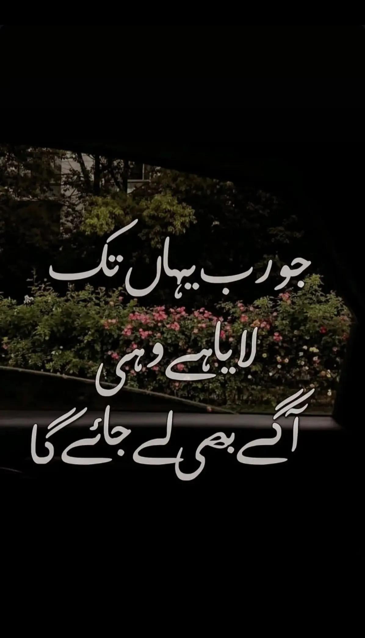 @its.amna_