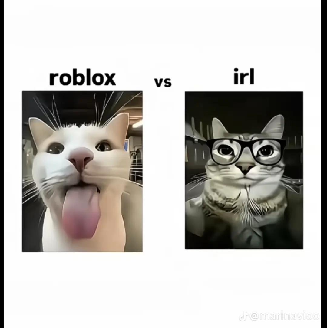 @๐ฉ ๐ฃ๐๐๐๐๐๐๐ช~ ๐ข๐